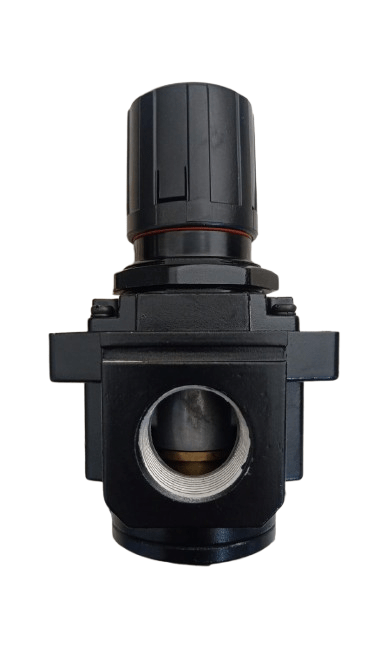 REGULADOR DE PRESION AR-5000-10 INSTRUTEK - Imagen 2