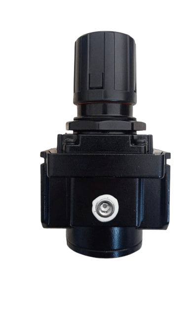 REGULADOR DE PRESION AR-5000-10 INSTRUTEK - Imagen 3