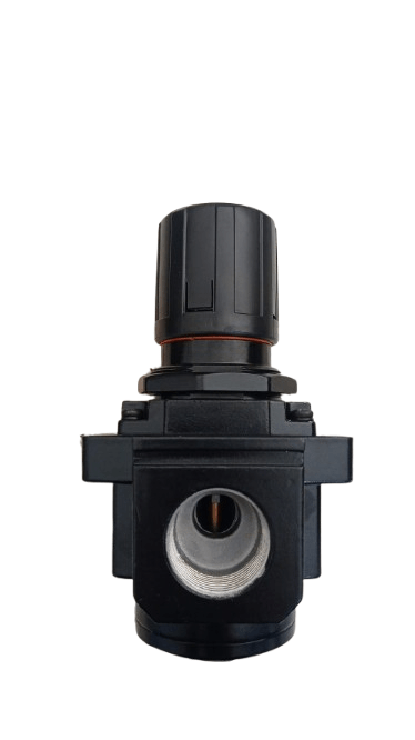 REGULADOR DE PRESION AR-5000-10 INSTRUTEK - Imagen 4